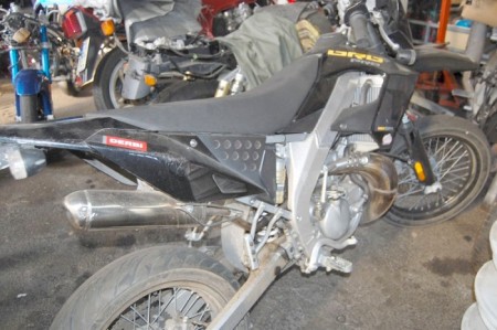 DERBIDRD.jpg (47222 bytes)