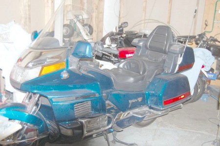 GOLDWING.jpg (40320 bytes)